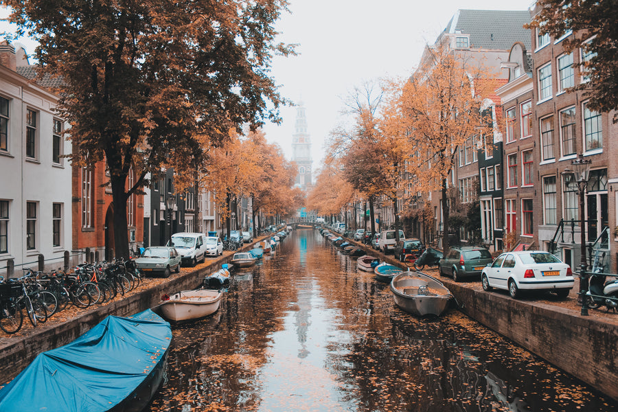 Exploring the Thriving CBD Retail Industry in the Netherlands