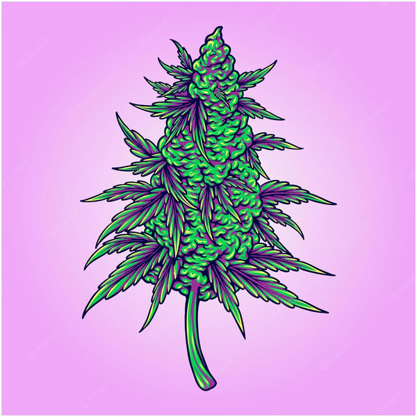 CBD Flowers and the Importance of Responsible Sourcing