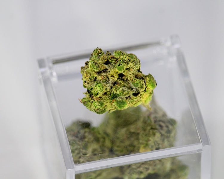 How THCP Stands as the Strongest Cannabinoid in Terms of Potency