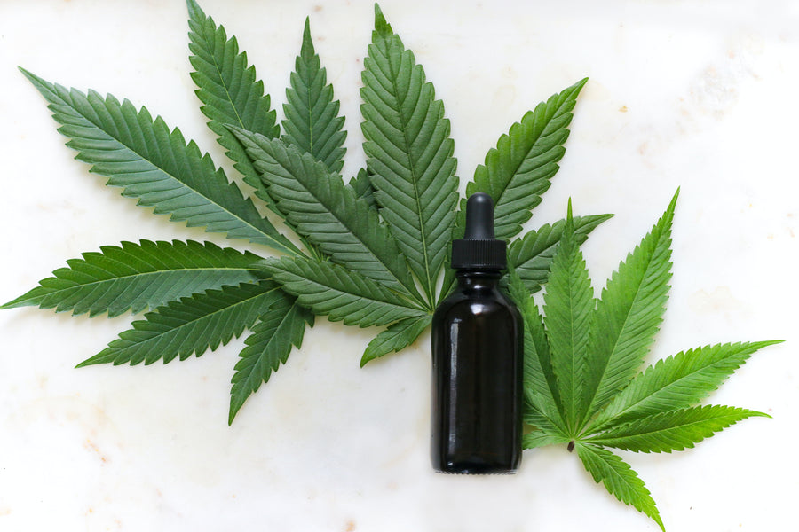 The Importance of Third-Party Laboratory Testing in the CBD Industry