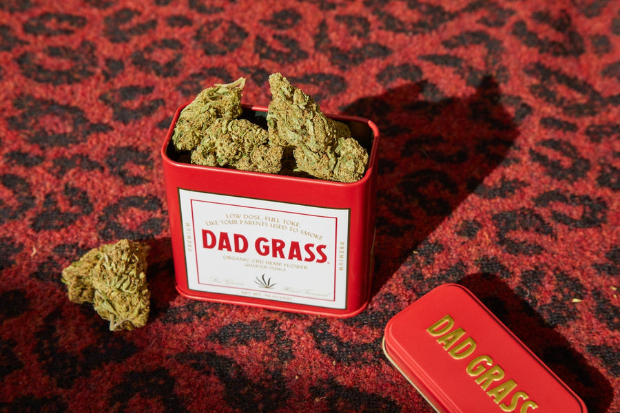 What dosage of CBD should I take?