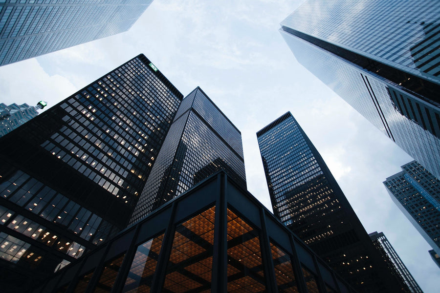 Unveiling the Evolution of Wholesale Business for CBD in Europe
